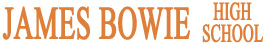 Bowie Logo 1x