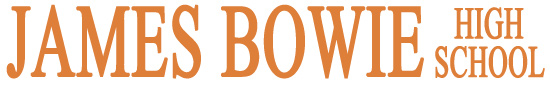Bowie Logo 2x